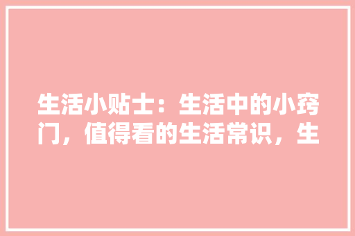 002139华帝股份的崛起之路——讨论其股票价值与未来潜力