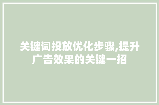 关键词投放优化步骤,提升广告效果的关键一招