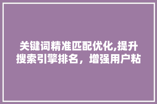 关键词精准匹配优化,提升搜索引擎排名，增强用户粘性