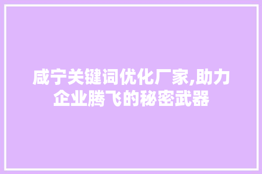 咸宁关键词优化厂家,助力企业腾飞的秘密武器