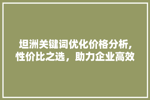 坦洲关键词优化价格分析,性价比之选，助力企业高效推广