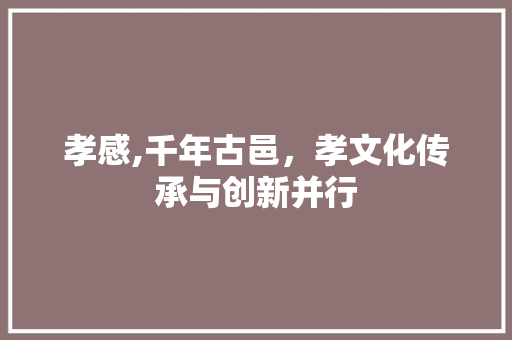 孝感,千年古邑，孝文化传承与创新并行