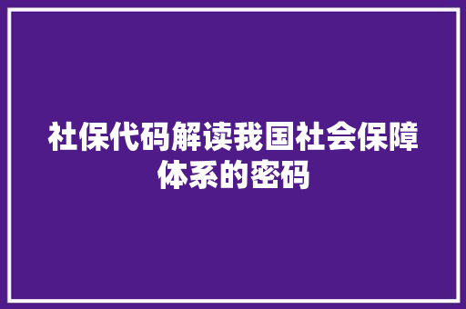 社保代码解读我国社会保障体系的密码