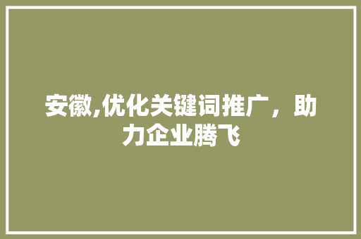 安徽,优化关键词推广，助力企业腾飞