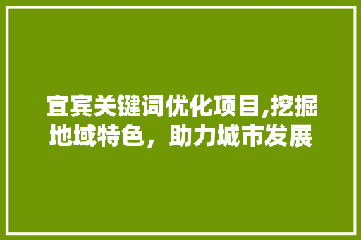 宜宾关键词优化项目,挖掘地域特色，助力城市发展