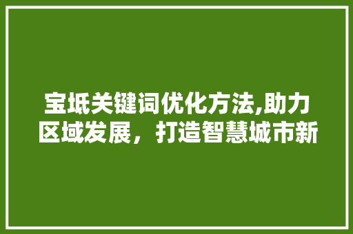 宝坻关键词优化方法,助力区域发展，打造智慧城市新标杆