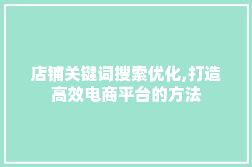 店铺关键词搜索优化,打造高效电商平台的方法