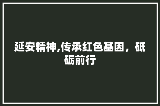 延安精神,传承红色基因，砥砺前行