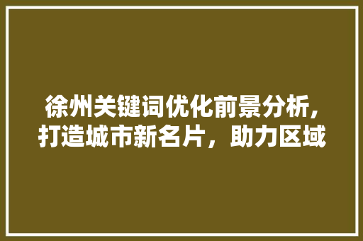 徐州关键词优化前景分析,打造城市新名片，助力区域经济发展