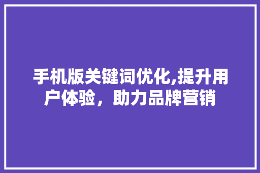 手机版关键词优化,提升用户体验，助力品牌营销