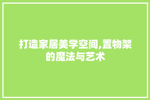 打造家居美学空间,置物架的魔法与艺术