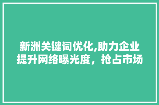新洲关键词优化,助力企业提升网络曝光度，抢占市场先机
