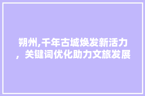 朔州,千年古城焕发新活力，关键词优化助力文旅发展