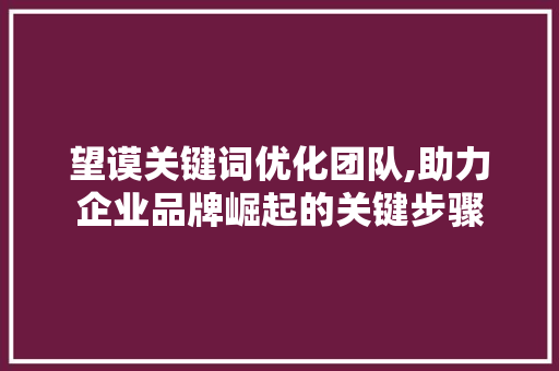 望谟关键词优化团队,助力企业品牌崛起的关键步骤