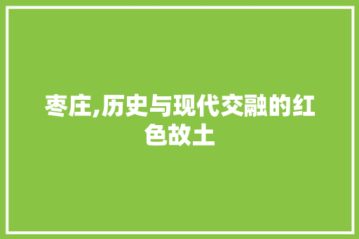 枣庄,历史与现代交融的红色故土