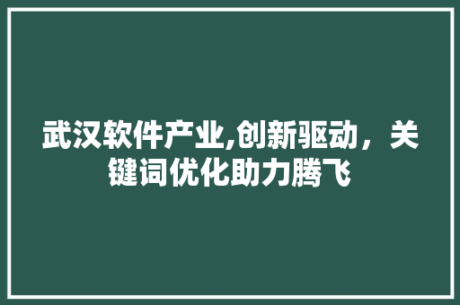 武汉软件产业,创新驱动，关键词优化助力腾飞
