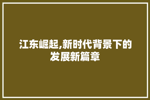 江东崛起,新时代背景下的发展新篇章