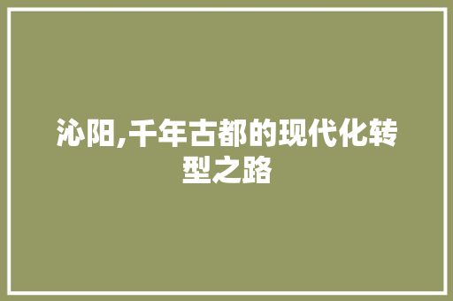 沁阳,千年古都的现代化转型之路
