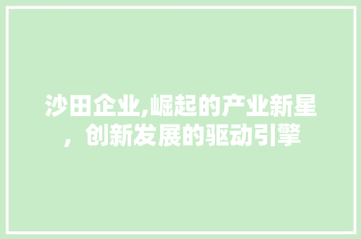沙田企业,崛起的产业新星，创新发展的驱动引擎  第1张
