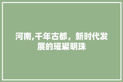 河南,千年古都，新时代发展的璀璨明珠