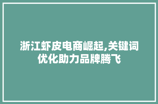 浙江虾皮电商崛起,关键词优化助力品牌腾飞