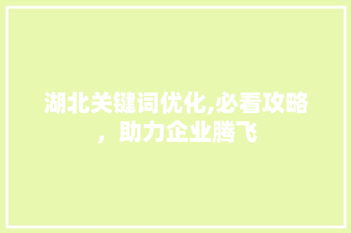 湖北关键词优化,必看攻略，助力企业腾飞