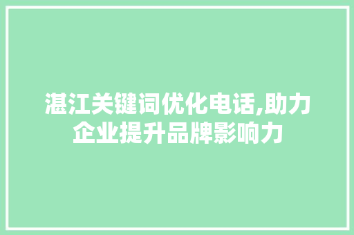 湛江关键词优化电话,助力企业提升品牌影响力