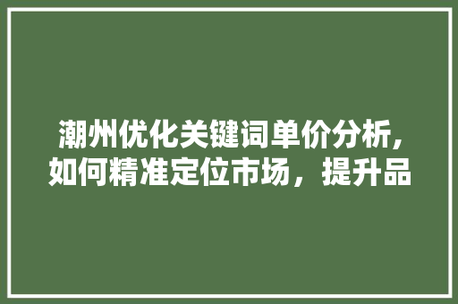 潮州优化关键词单价分析,如何精准定位市场，提升品牌影响力  第1张