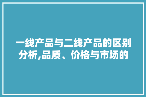 一线产品与二线产品的区别分析,品质、价格与市场的双重考量