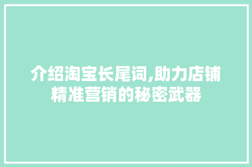 介绍淘宝长尾词,助力店铺精准营销的秘密武器