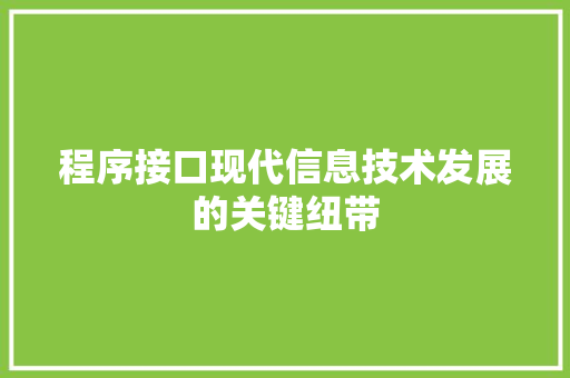 程序接口现代信息技术发展的关键纽带