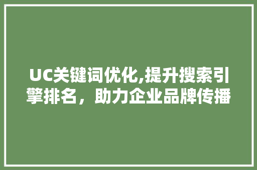 UC关键词优化,提升搜索引擎排名，助力企业品牌传播