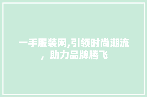 一手服装网,引领时尚潮流，助力品牌腾飞