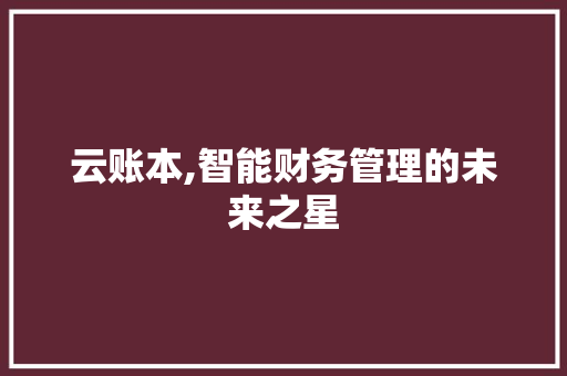 云账本,智能财务管理的未来之星