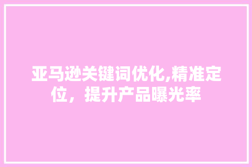 亚马逊关键词优化,精准定位，提升产品曝光率
