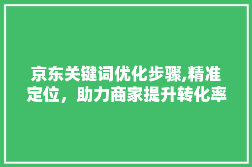京东关键词优化步骤,精准定位，助力商家提升转化率