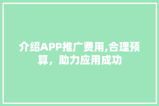 介绍APP推广费用,合理预算，助力应用成功  第1张