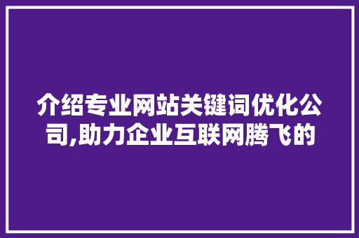 介绍专业网站关键词优化公司,助力企业互联网腾飞的秘密武器