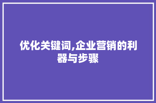 优化关键词,企业营销的利器与步骤