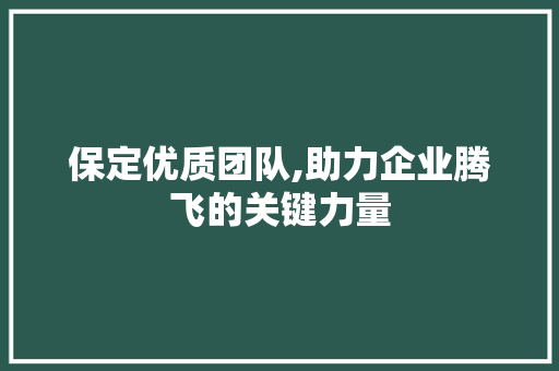 保定优质团队,助力企业腾飞的关键力量