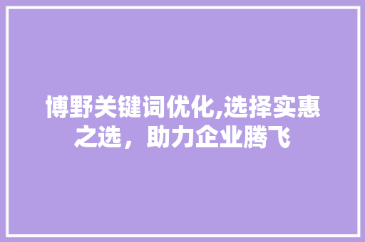 博野关键词优化,选择实惠之选，助力企业腾飞
