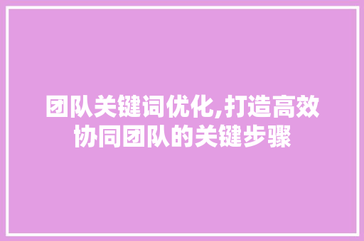 团队关键词优化,打造高效协同团队的关键步骤