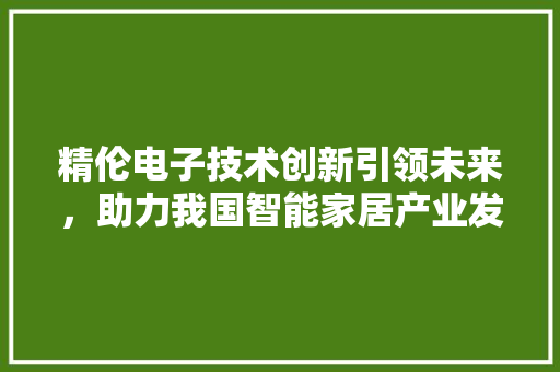 精伦电子技术创新引领未来，助力我国智能家居产业发展