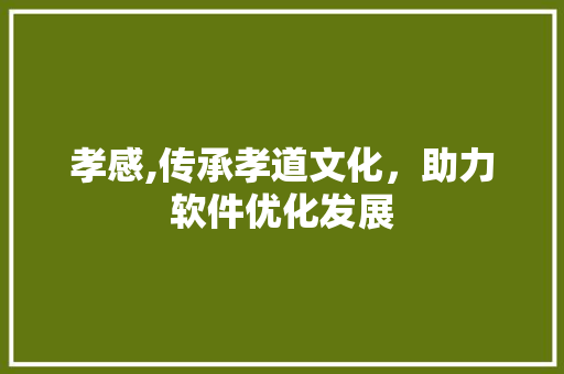 孝感,传承孝道文化，助力软件优化发展