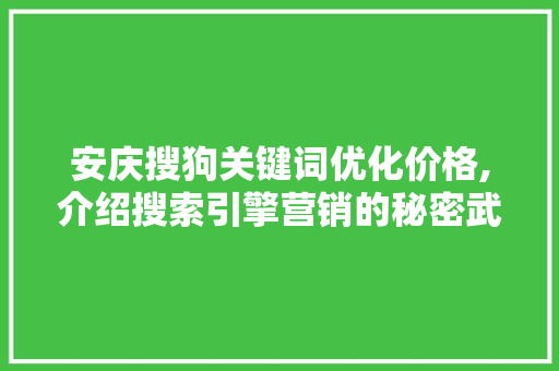 安庆搜狗关键词优化价格,介绍搜索引擎营销的秘密武器
