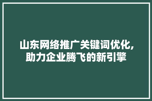 山东网络推广关键词优化,助力企业腾飞的新引擎
