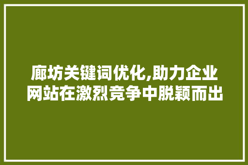 廊坊关键词优化,助力企业网站在激烈竞争中脱颖而出