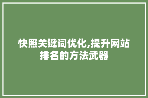 快照关键词优化,提升网站排名的方法武器
