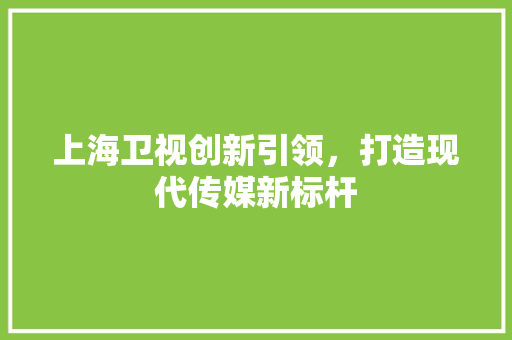 上海卫视创新引领，打造现代传媒新标杆