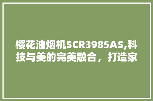 樱花油烟机SCR3985AS,科技与美的完美融合，打造家居烹饪新体验